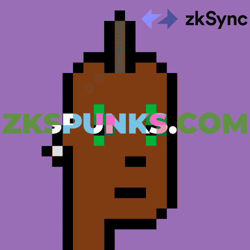 ZksPunks Guaranteed Allocation collection image
