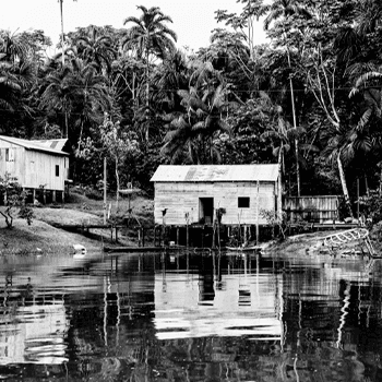 Houses of the Amazon Jungle