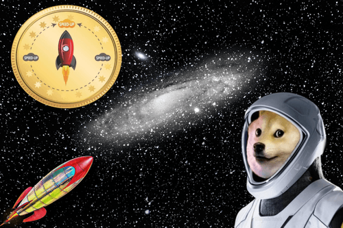 Dogecoin to the moon r