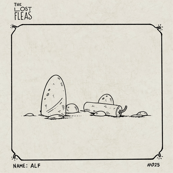 Alf #025