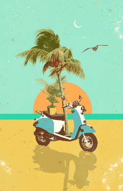 SCOOTER TROPICS