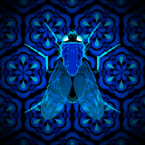 To Be A Fly On The Wall #85