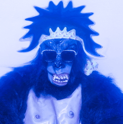 Bored Ape Kong collection image