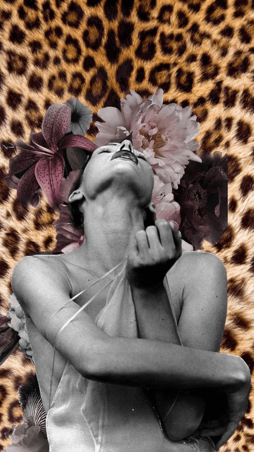 Passion Collage #8