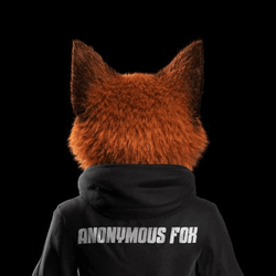 Anonymous Fox Official collection image