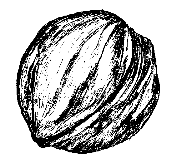 uraart art 10mints
