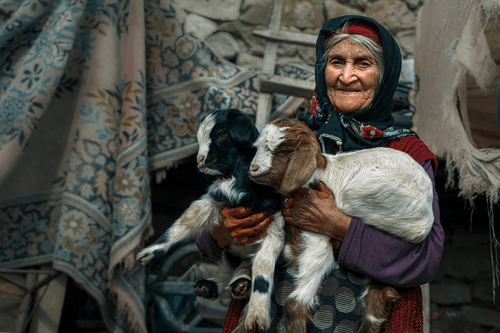 Sparkle of Hope in the eyes of little goats