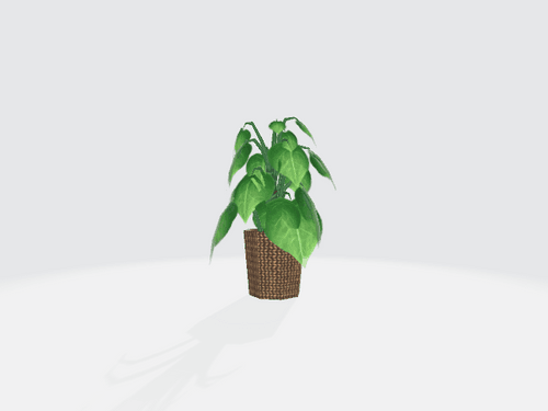 3D House Plant #2