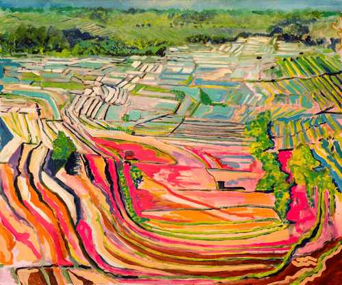 Rice field semi abstract