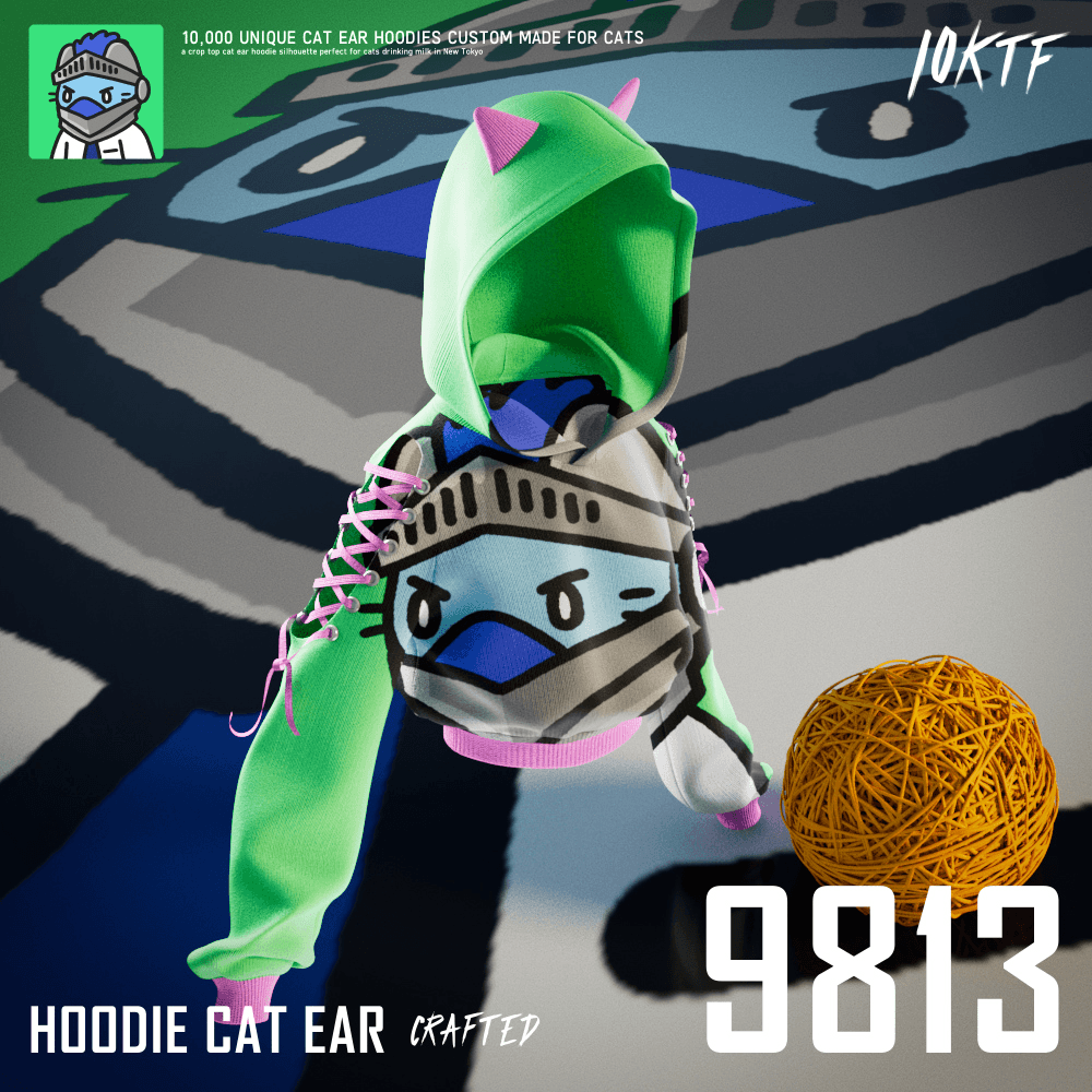 Cool Cat Ear Hoodie #9813