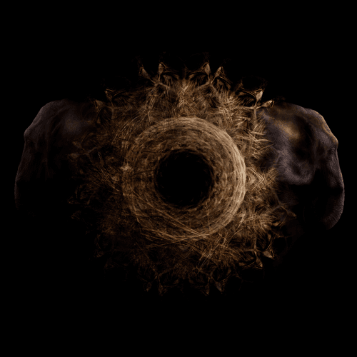 Torus 01