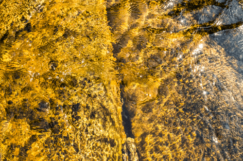GoldenWater by Amara