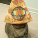 pizzacat_