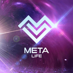 Meta Life Universal Weapon Skins collection image