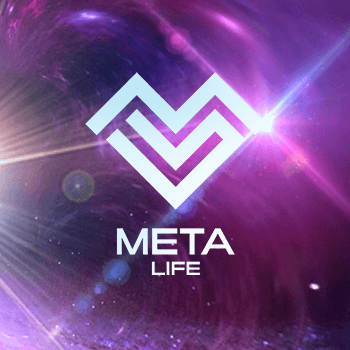 Meta Life Universal Weapon Skins