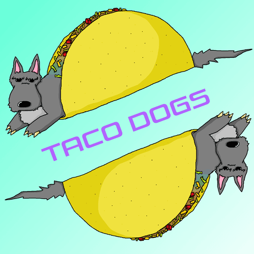 Taco Dogs