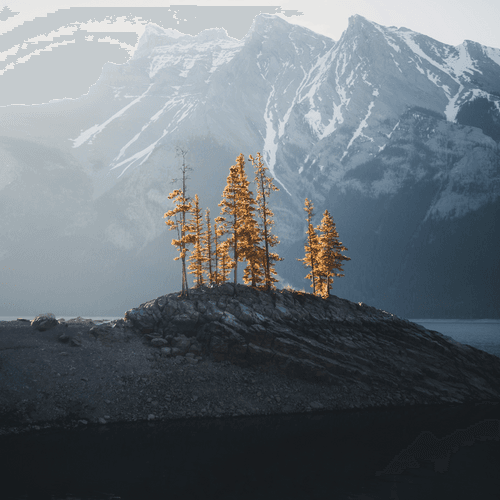 SOLITUDE - Edition by Alex Mack
