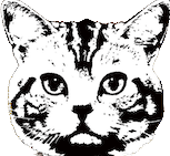 Bully Meow Music 66