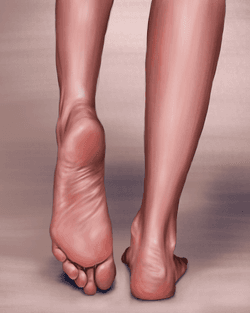 The Study of Feet collection image