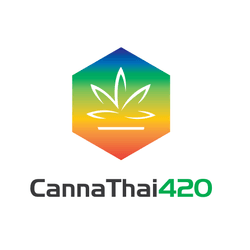 CannaThai420 - Mother Plant collection image