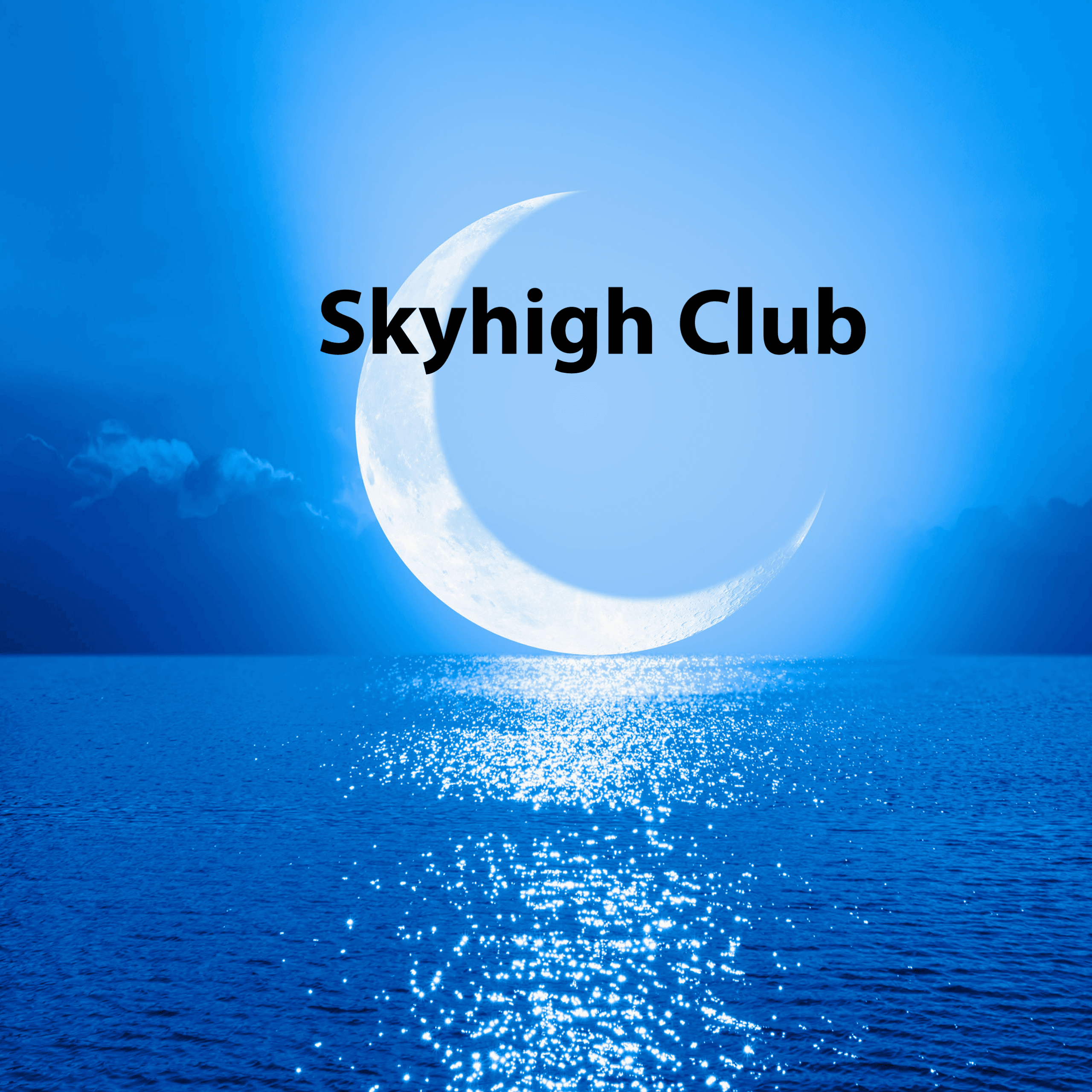 skyhighclub.eth Ethereum Name Service (ENS and .eth domain) PFP