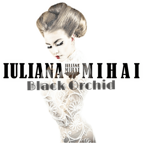 black orchid by iuliana mihai