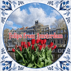 TulipsfromAmsterdam collection image