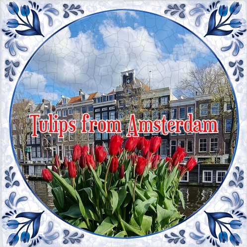 TulipsfromAmsterdam