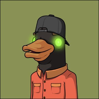 Chillin Ducks