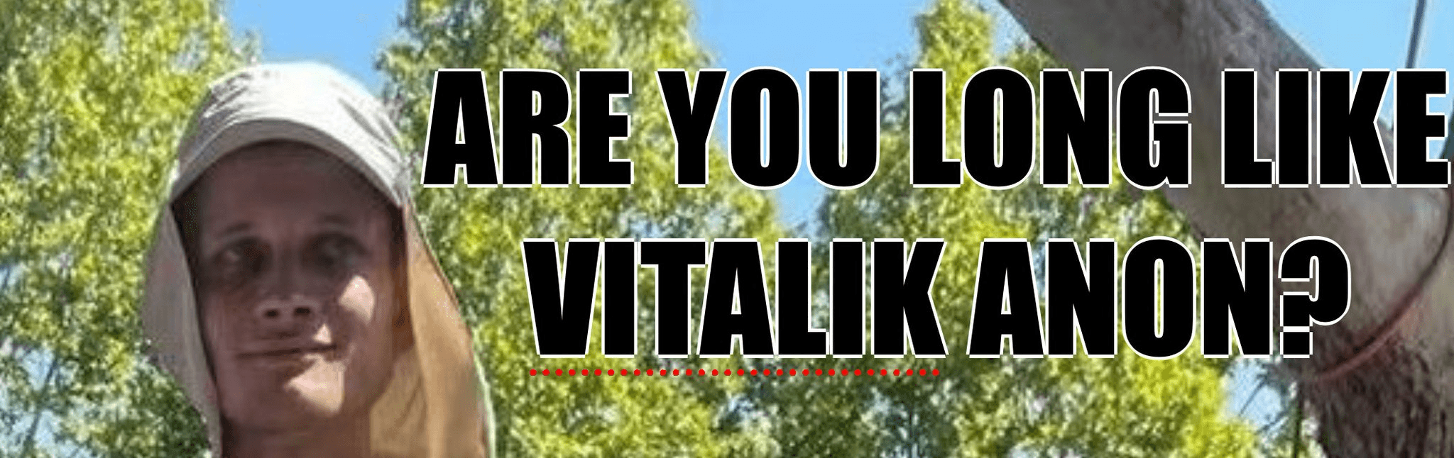 VitalDick banner