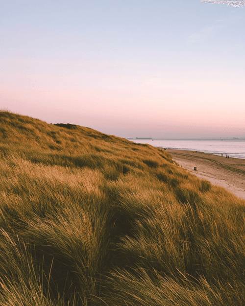 An afternoon at the coast