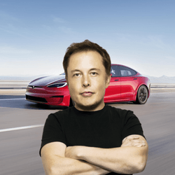 Elon Digital Trading Cards (DTC) collection image