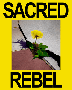 sacred rebel collection image