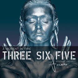 Three Six Five collection image