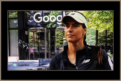 Sorana Cirstea HappYly Traveling The Internet collection image
