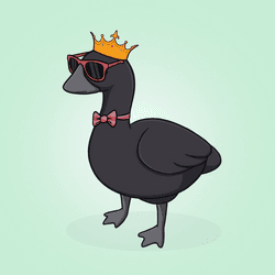 Honk #3113