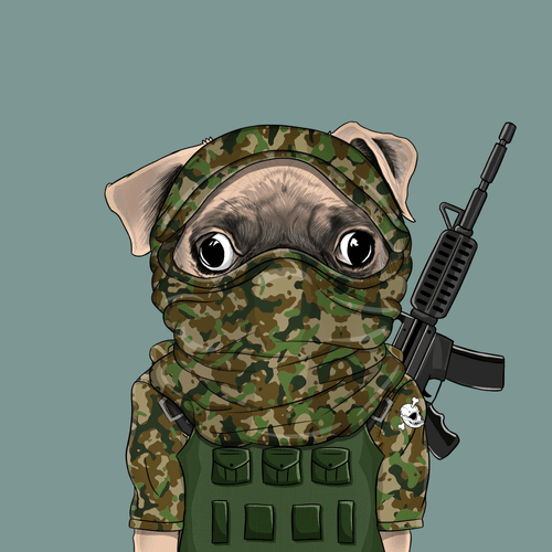 Pug #0219