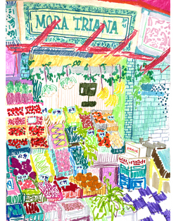 Spain fruit market pen drawings collection image