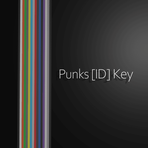 NTP Punks[ID]Key