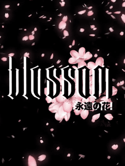 BLOSSOM | 花 collection image