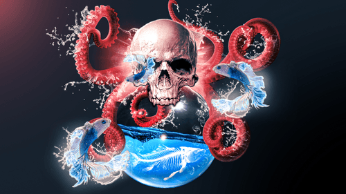 Birth N' Death