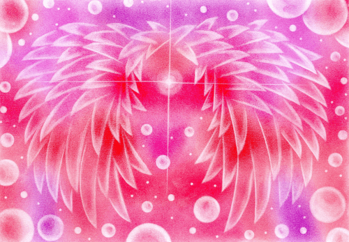 Angel Wings ＃004