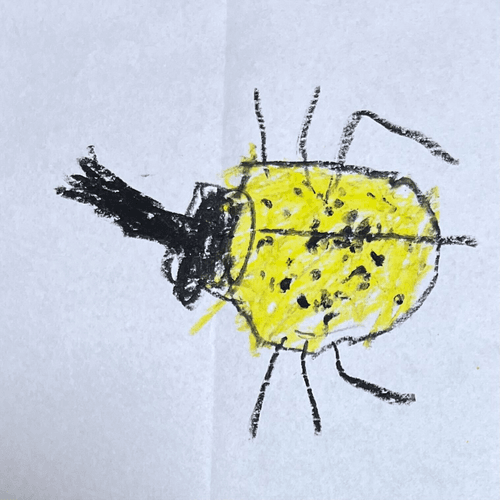 Children's Beetle #2