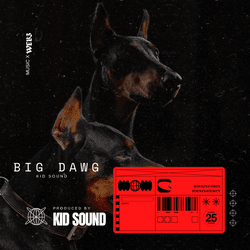 Kid Sound - BIG DAWG collection image