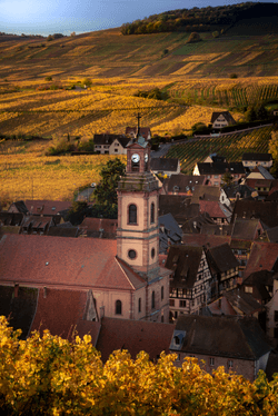 An Autumn in Alsace collection image