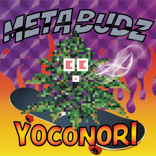MB/YOCONORI