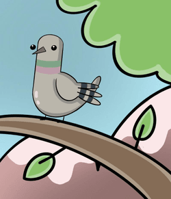 Pigeon Doods Official collection image