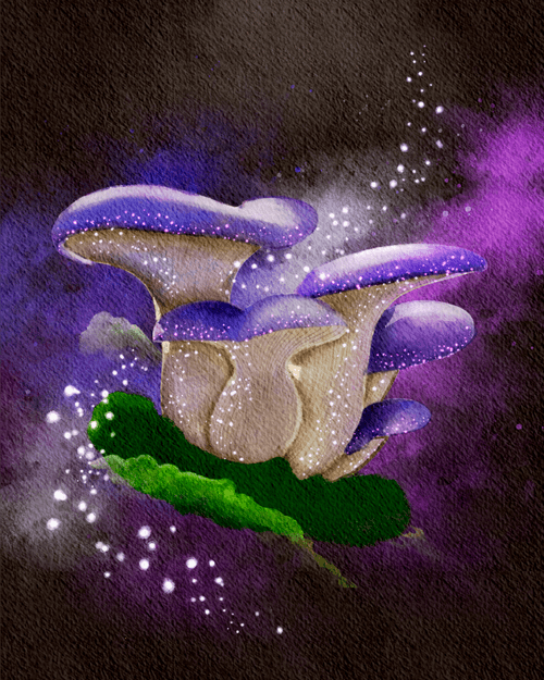 Enchanted Mushroom