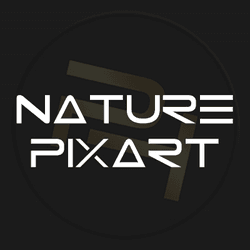 PhoenixCo Nature Pixart collection image