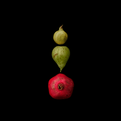Portrait of Fruits collection image